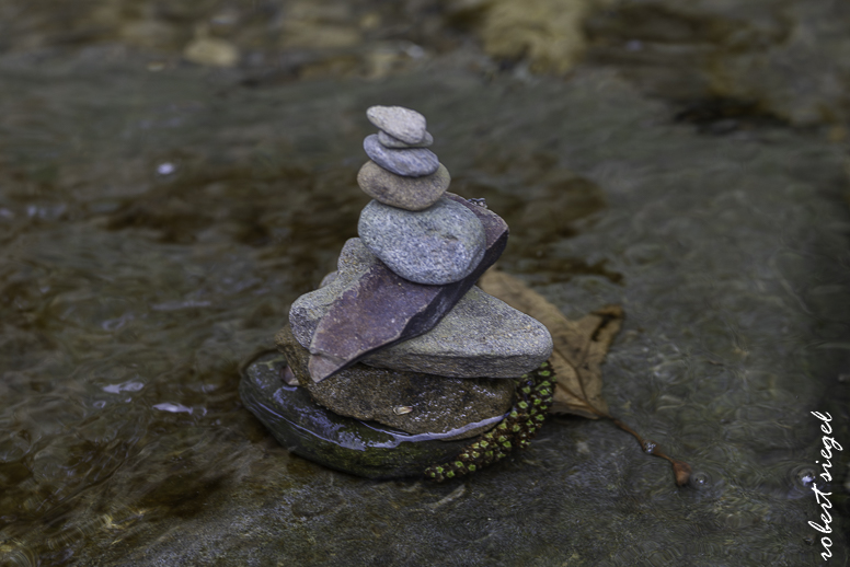 alum rock state park